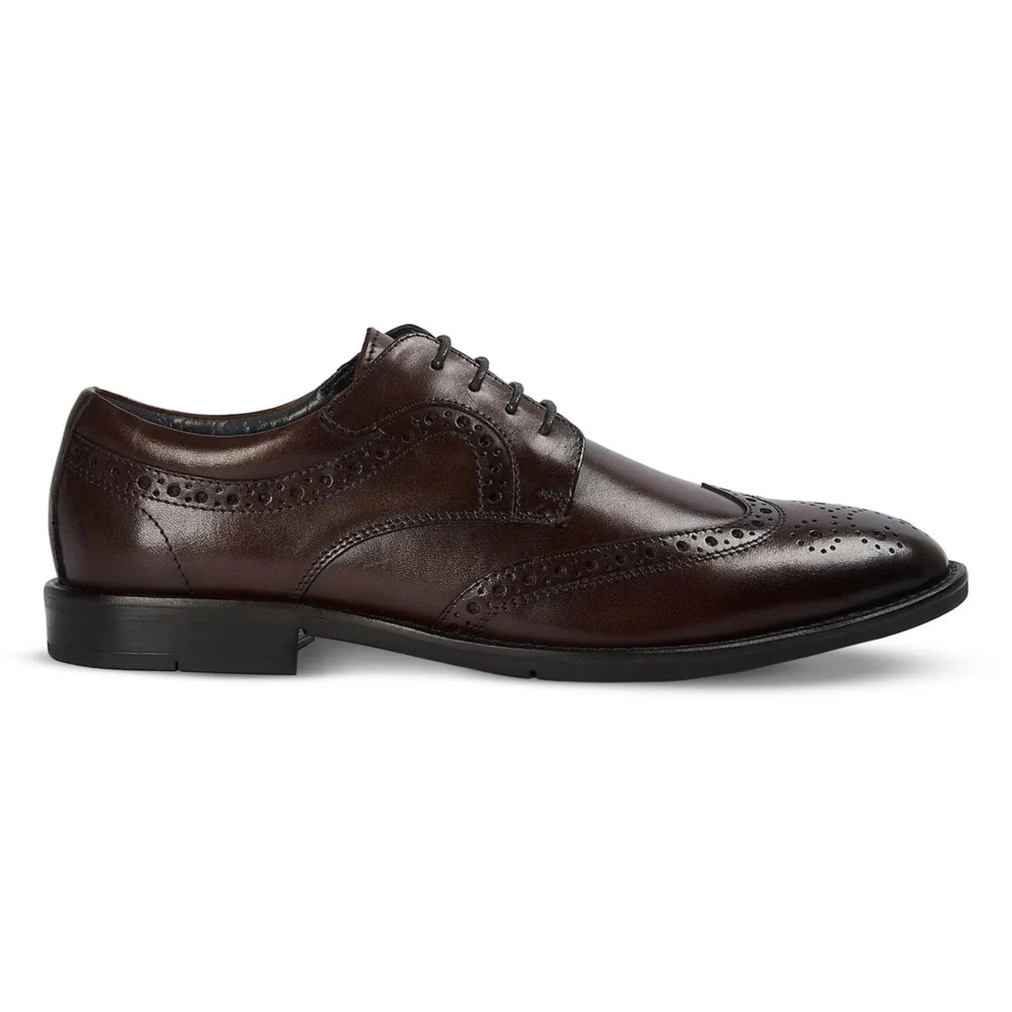 Cambridge - Herr Mörkbruna Wingtip Brogue Derbyskor