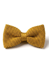 Stickad fluga